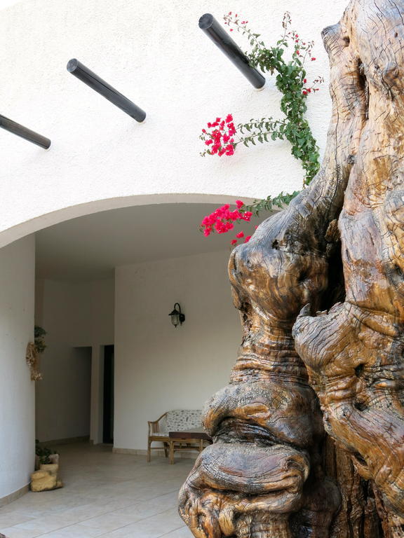 Agriturismo Tenuta Del Morige Galatone Chambre photo